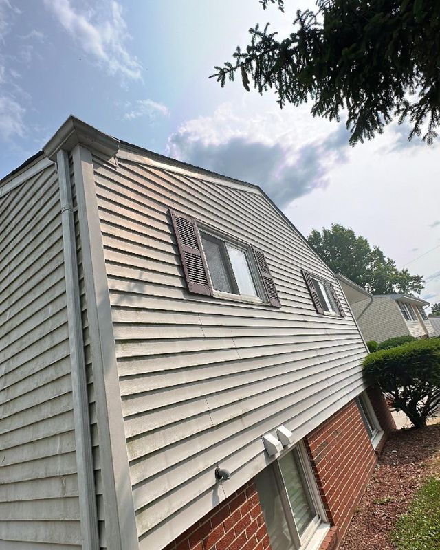 Gutter Cleaning