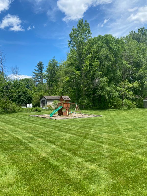 Lawn Maintenance