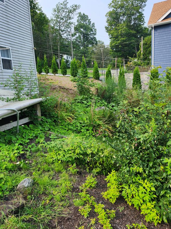 Muclhing & Weeding