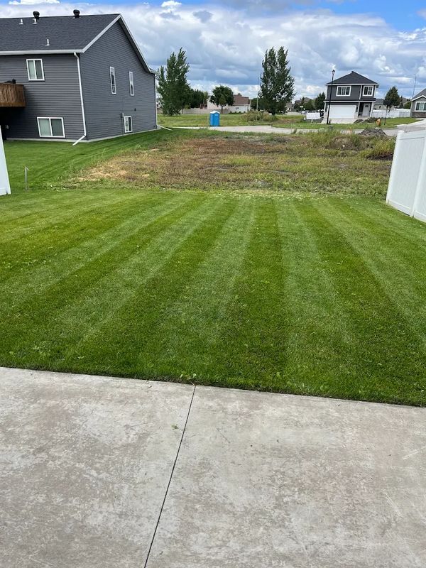 Lawn Maintenance