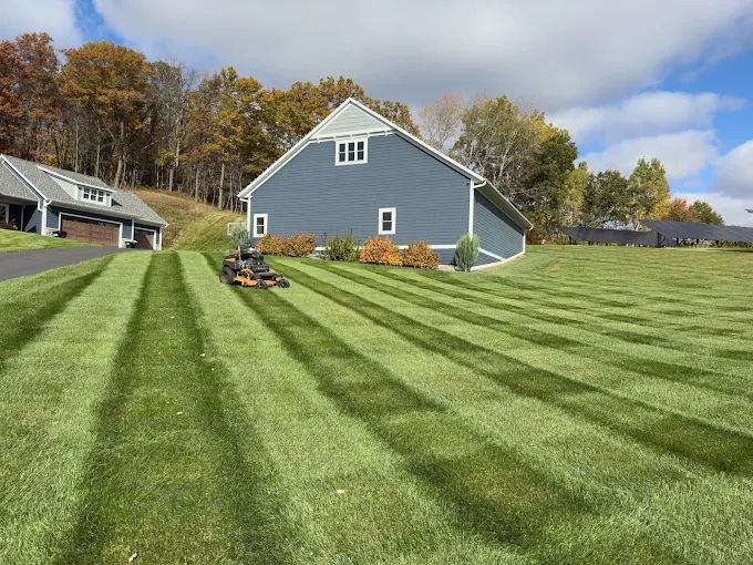 Lawn Maintenance