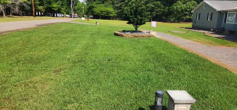 Sod Installation
