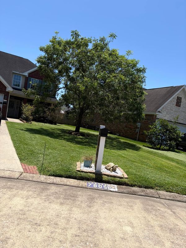 Lawn Maintenance