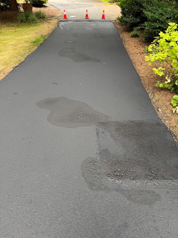 Driveway Paving