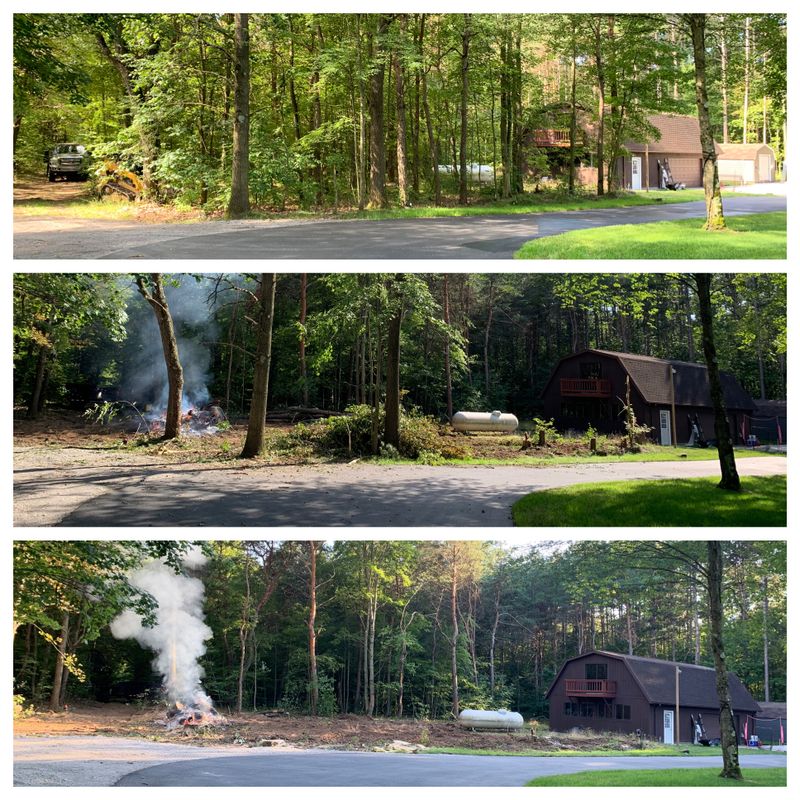 Site preps/land clearing 
