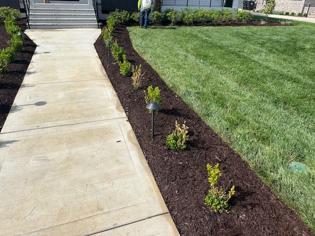 Landscape Lighting