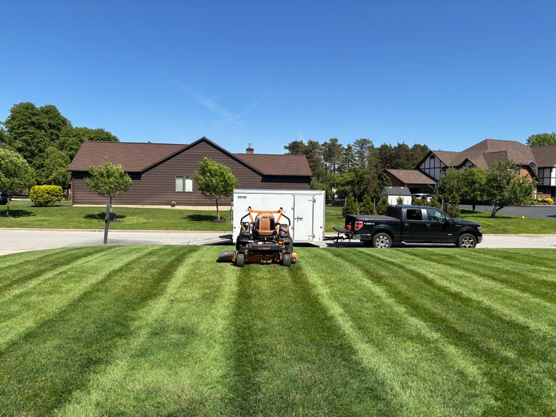 Lawn Maintenance