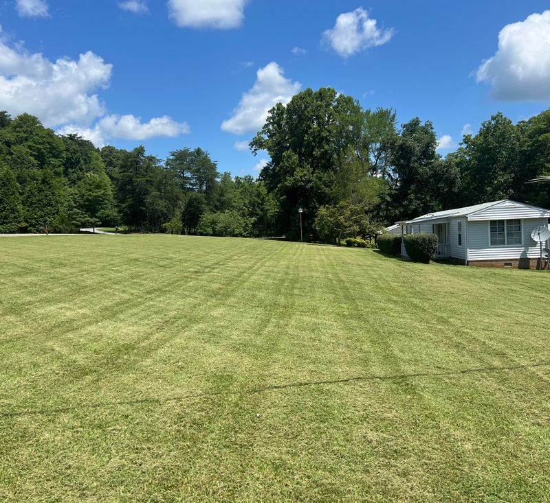 Lawn Care