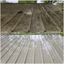 Roof Cleaning
