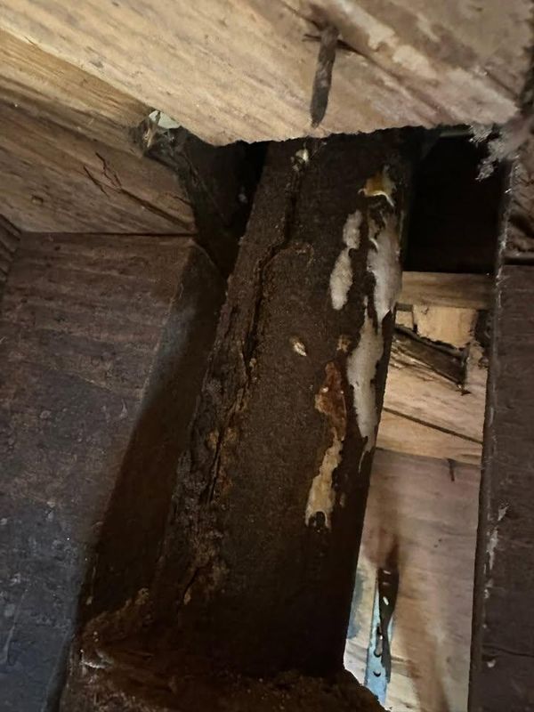 Plumbing Repairs