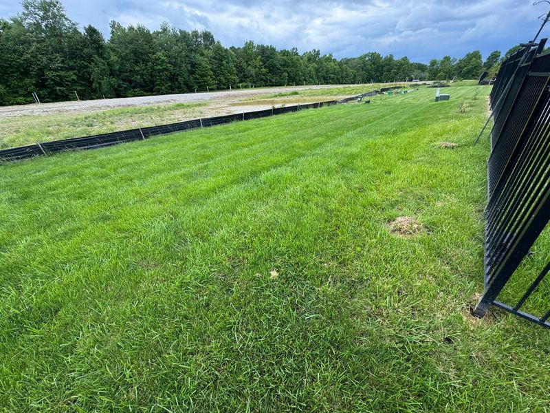 Grading & Seeding