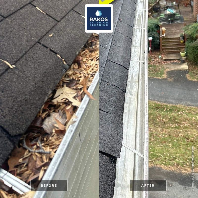 Gutter Cleaning