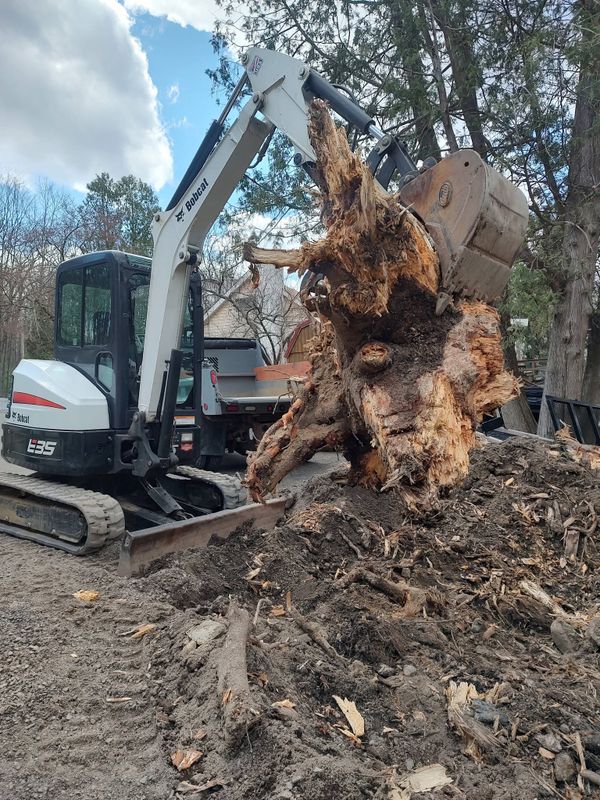 Land Clearing and Site Preparation