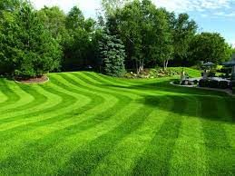 Lawn Care