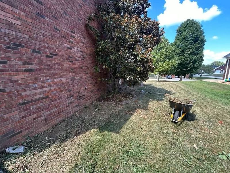 Yard Care