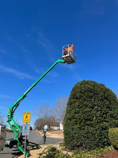 Lawn Care