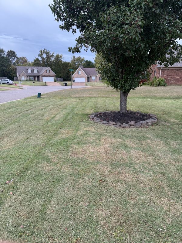 Comprehensive Landscaping Services