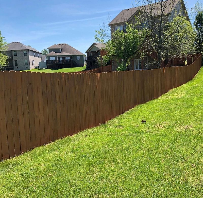 Deck and Fence Staining
