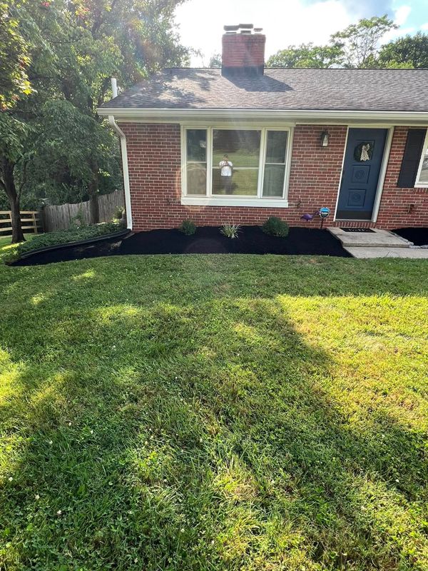 Lawn Maintenance