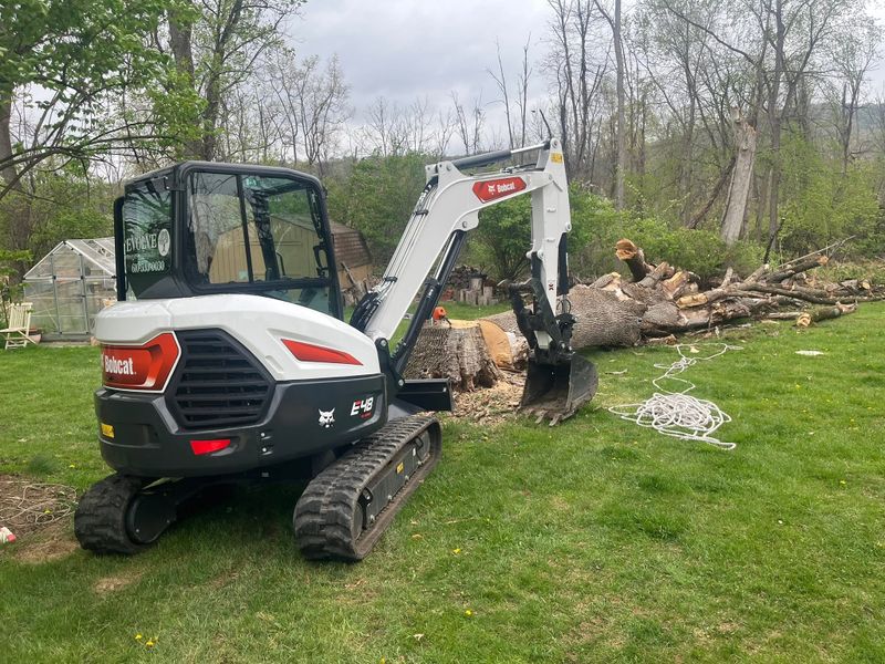 Tree Removal
