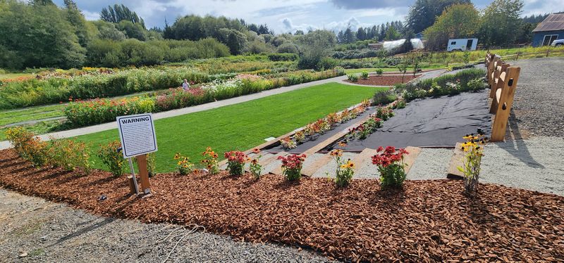 Landscape Installation