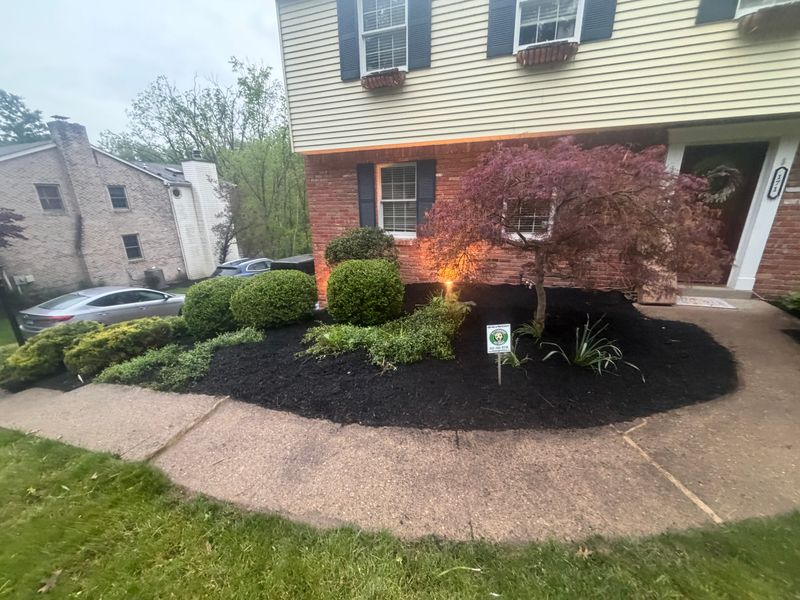 Landscaping