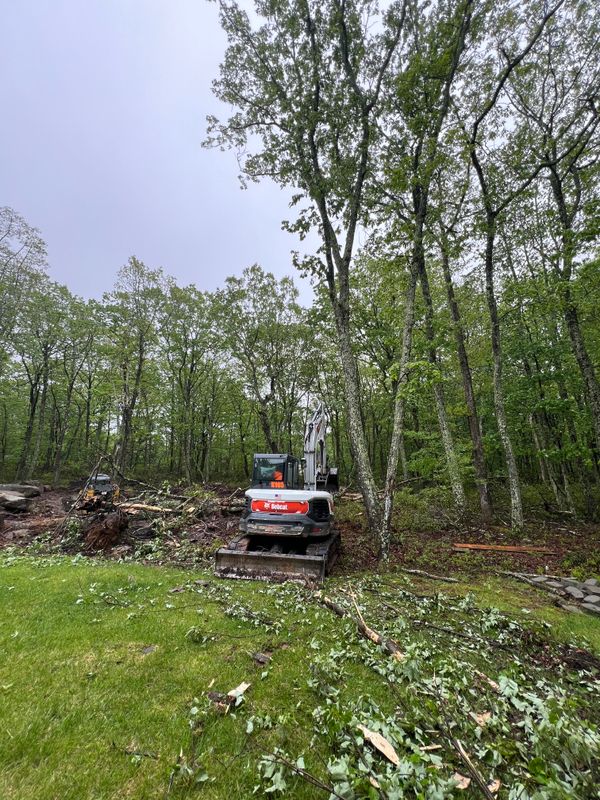Forestry Mulching