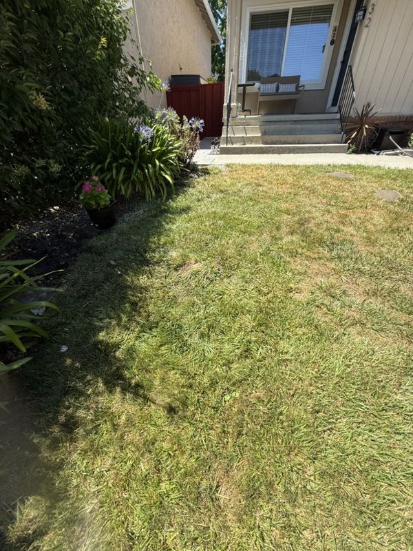 Lawn Aeration