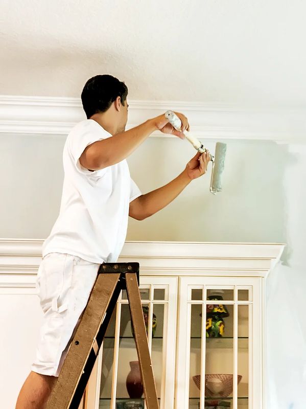 Drywall and Plastering