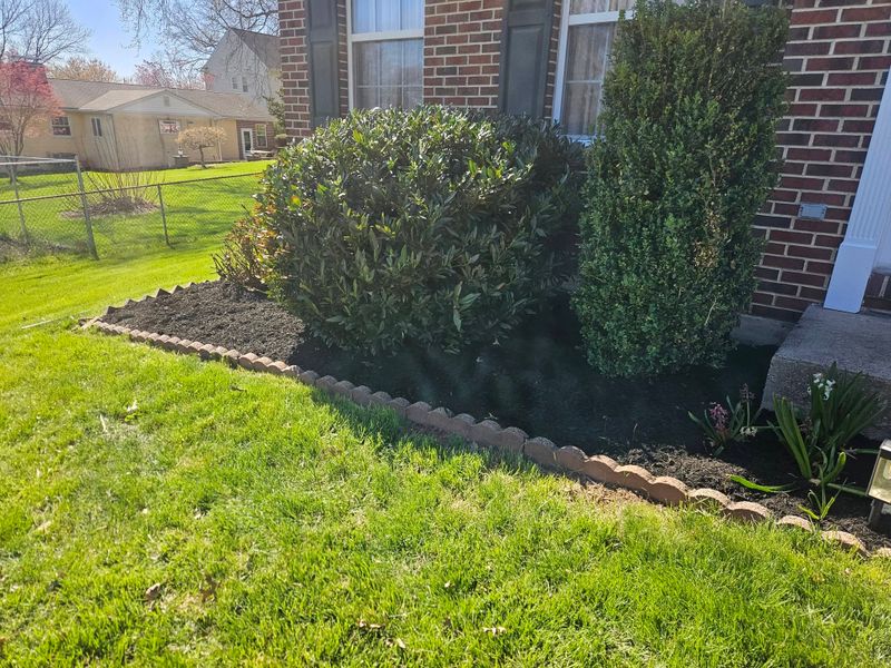Tree & Shrub Care