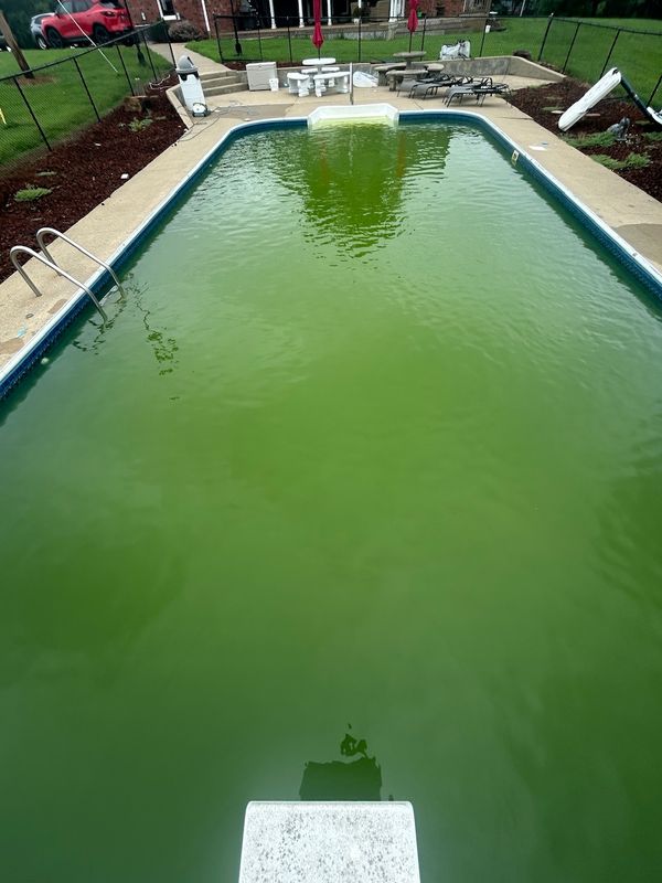 Drain & Cleans