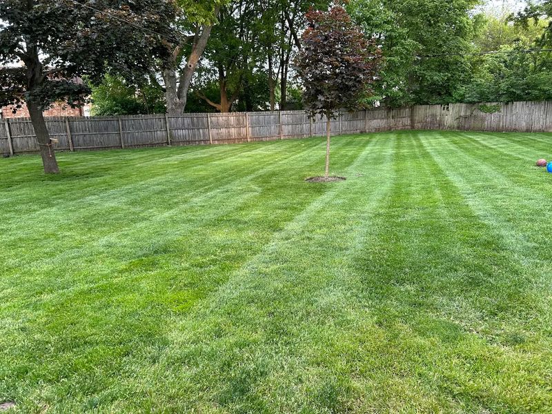 Weekly Lawn Mowing