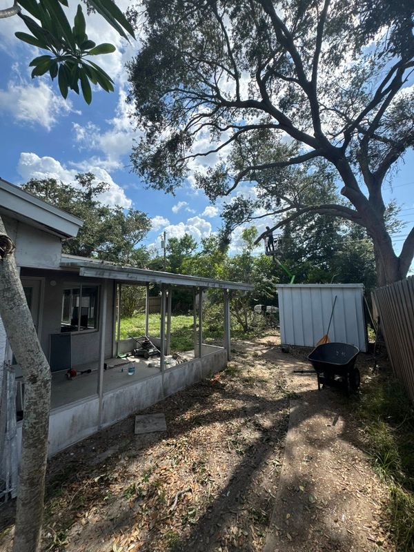 Tree and Shrub Care