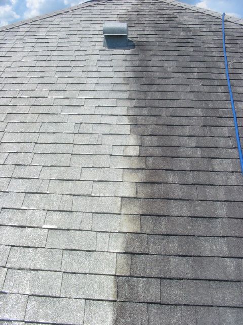 Roof Cleaning