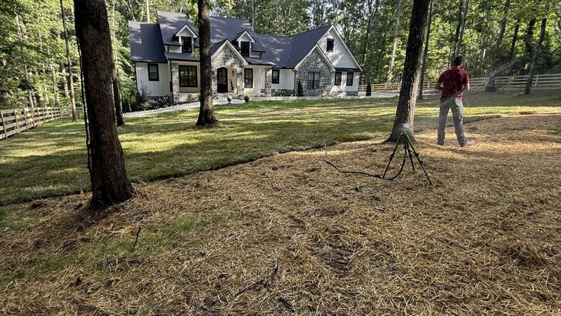 Full Lawn Installation