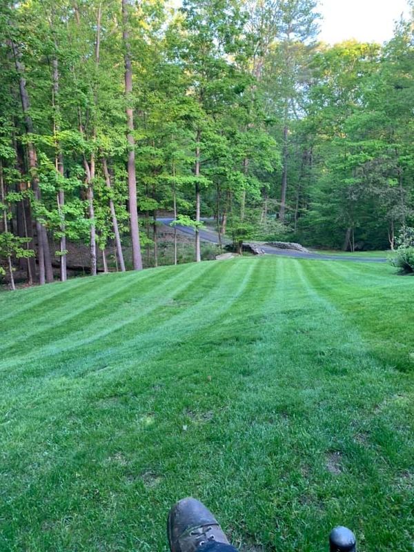 Lawn Maintenance