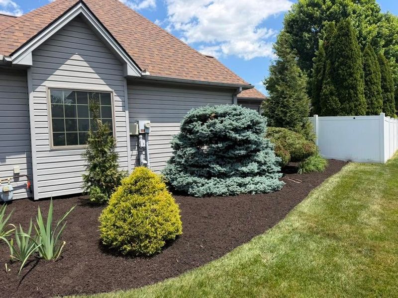 Landscape Design