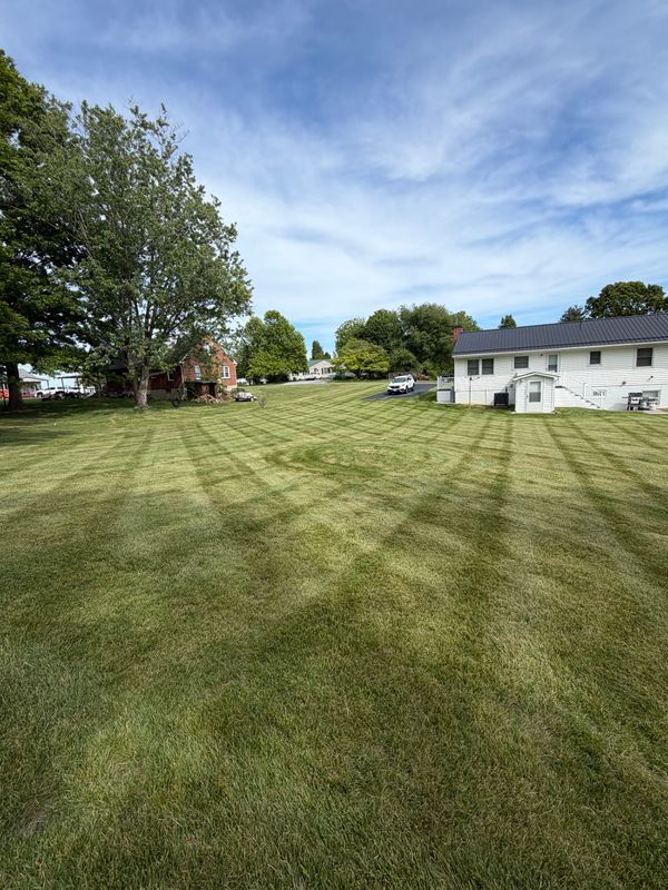 Lawn Mowing