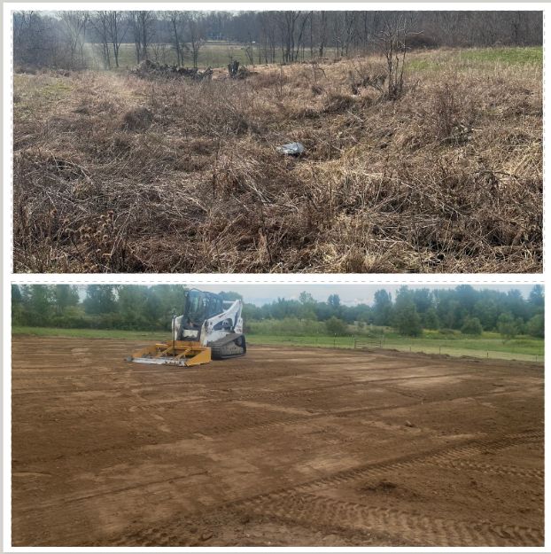 Land Clearing