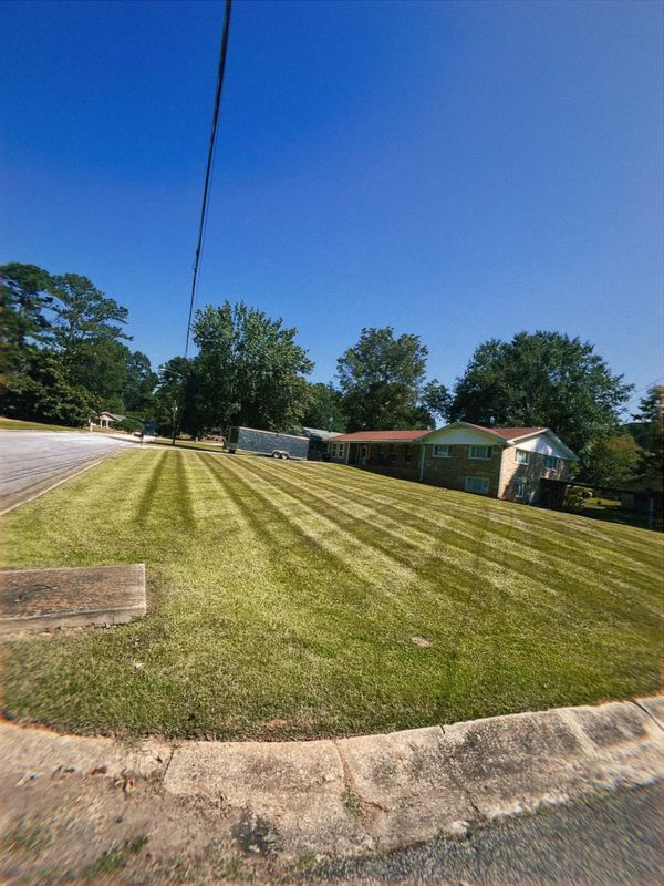 Lawn Care and Maintenance