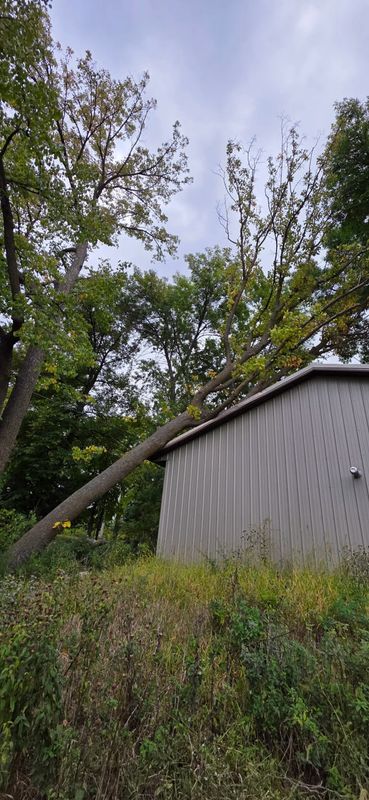 Storm Damage Clean-Up