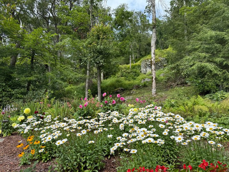 Perennial Gardens gallery