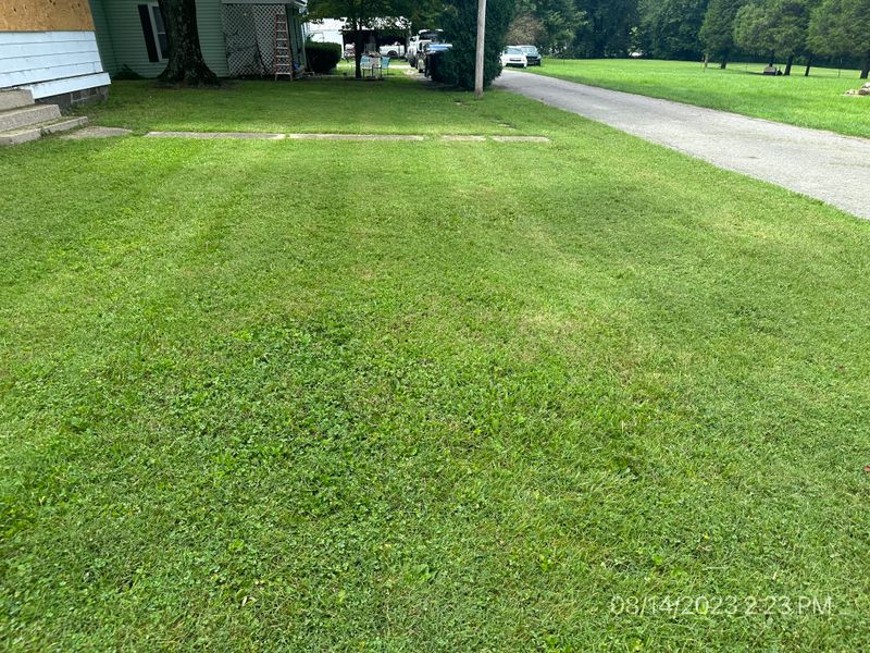 Lawn Maintenance