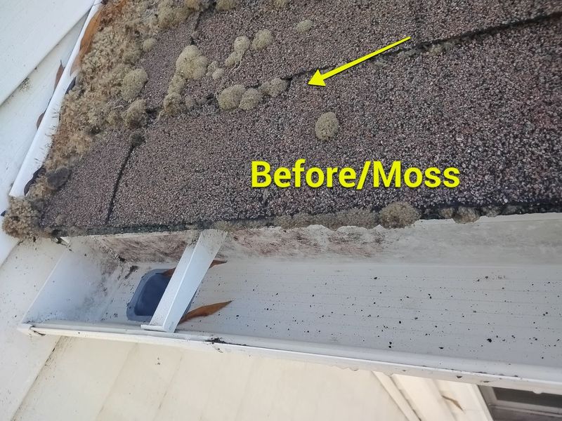Roof Cleaning