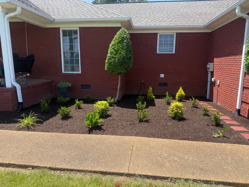 Landscape Design