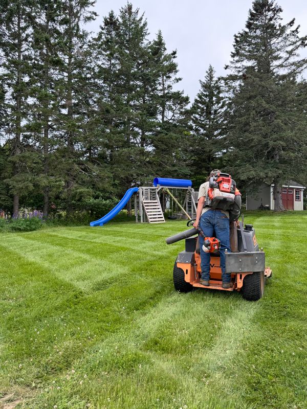 Lawn Maintenance