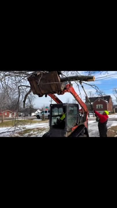 Tree Maintenance