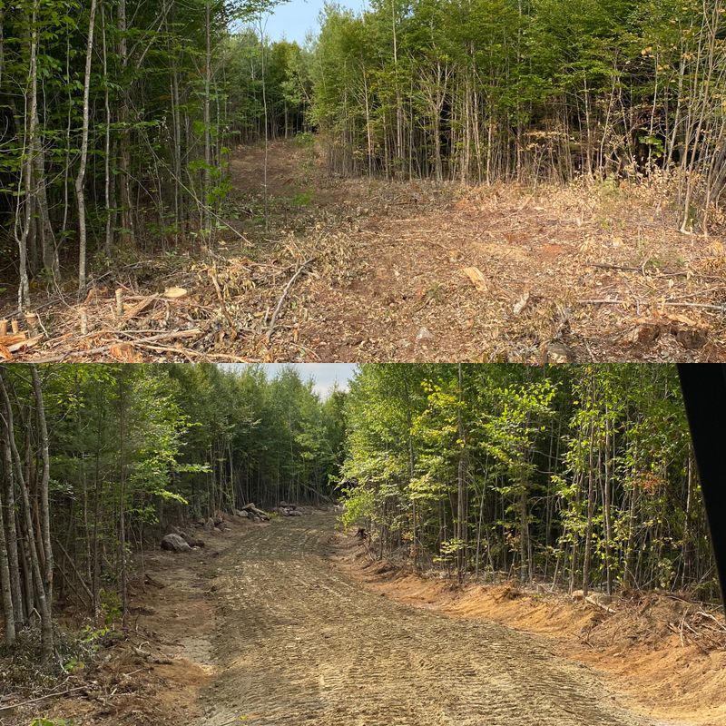 Land Clearing & Forestry Mulching