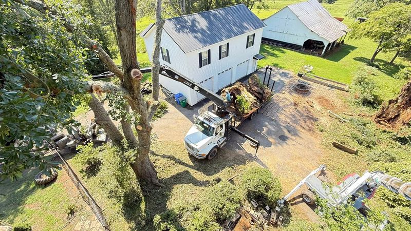 Stump Removal