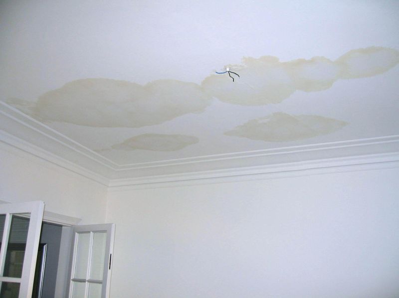 Roofing Repairs